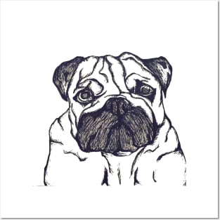 Pug Dog Posters and Art